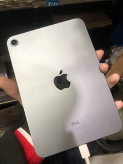 Ipad Mini 6 With Box 10/10 Condition