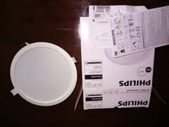 Philips 12W LED Light