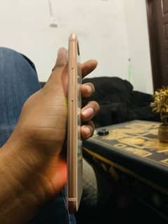 I phone 8 plus