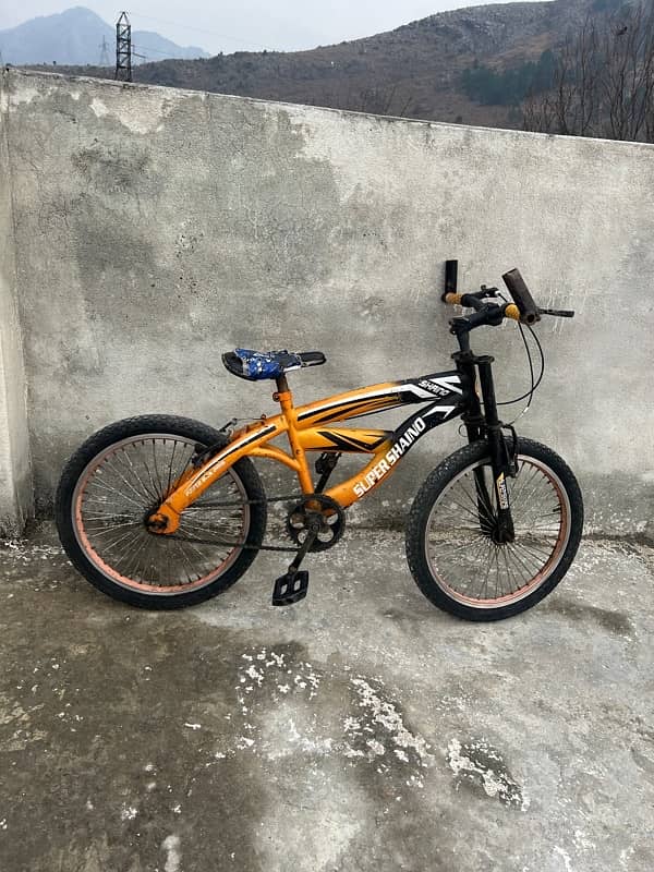 20 inches Cycle in good condition 3