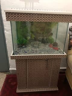 2 feet aquarium