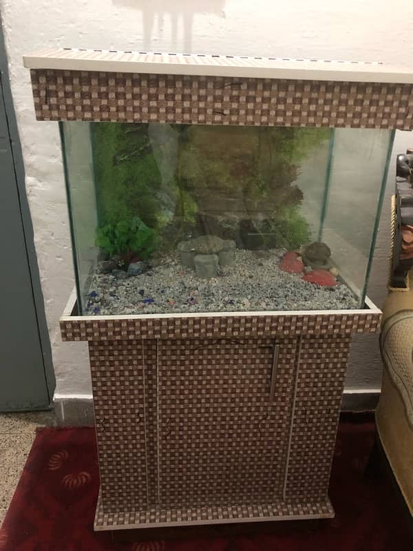 2 feet aquarium 0