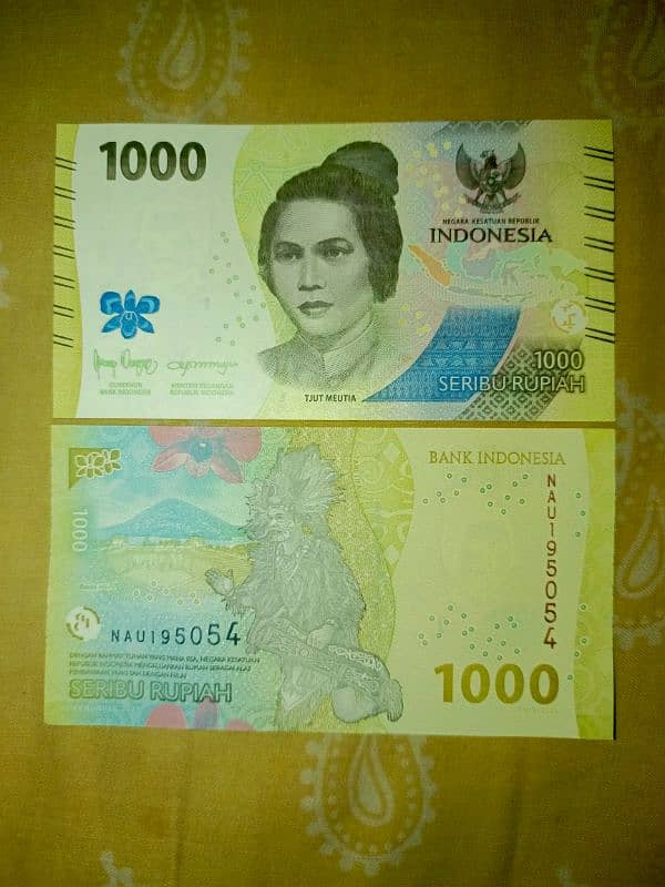 differnt countries currency notes 1