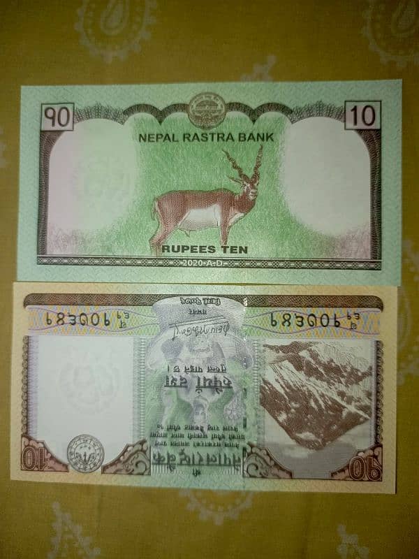 differnt countries currency notes 5