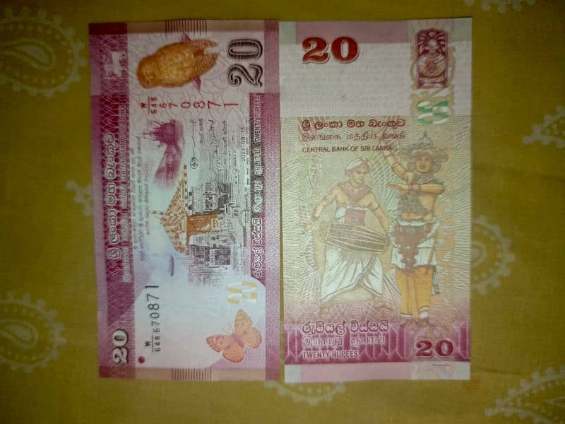 differnt countries currency notes 6