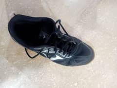 mizuno cyclone speed 2