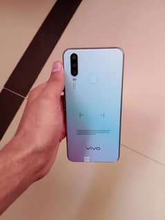 vivo y