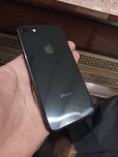 iPhone 8 pta approved 10/10