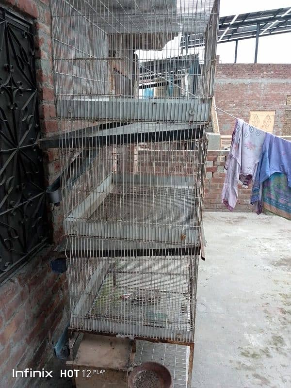 Hen Or Rabbit Cage 1