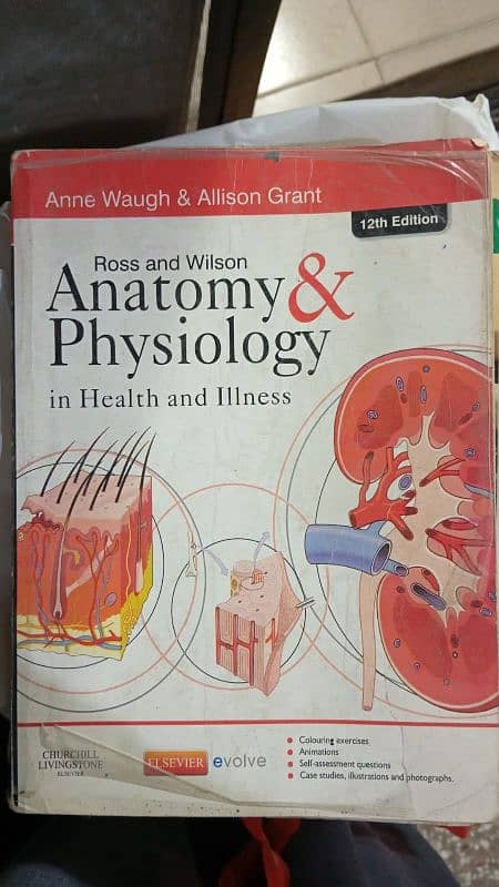 Medical Books For Sale 9