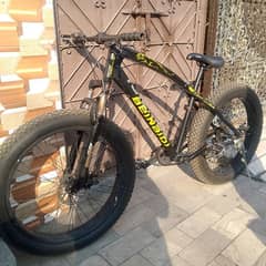 mountain bicycle fat tyer