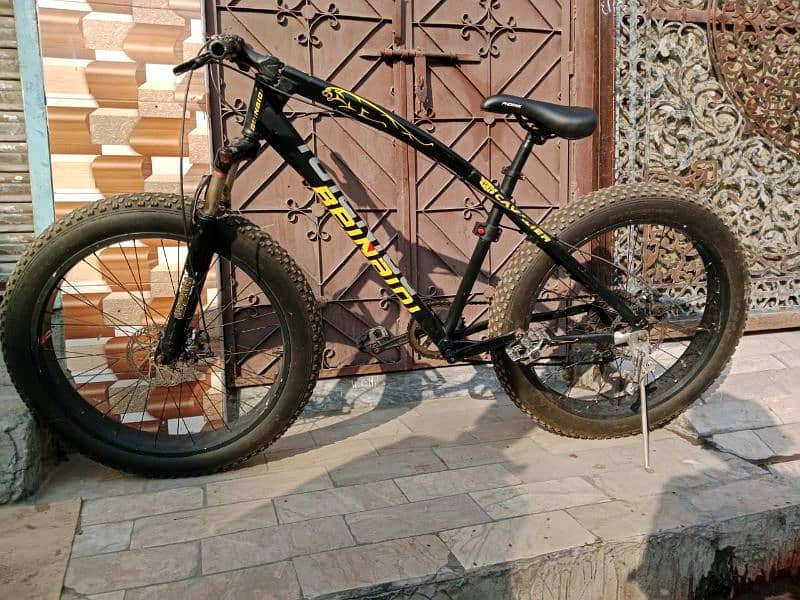 mountain bicycle fat tyer 1