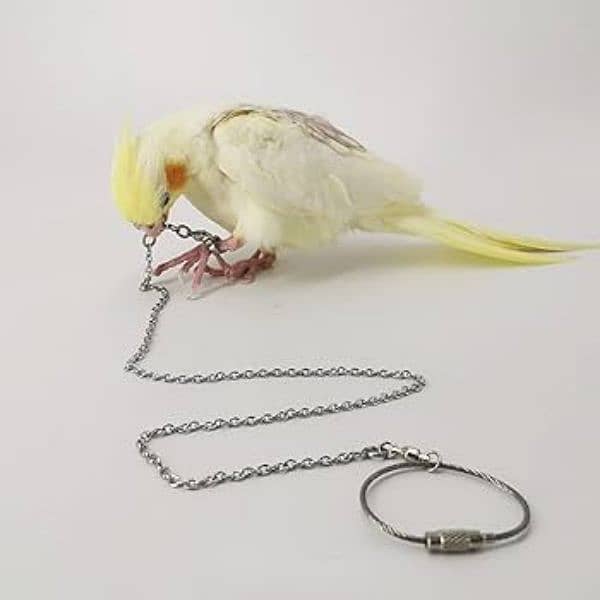 birds foot chain/bird training chain/parrot foot chain/bird carry chai 1