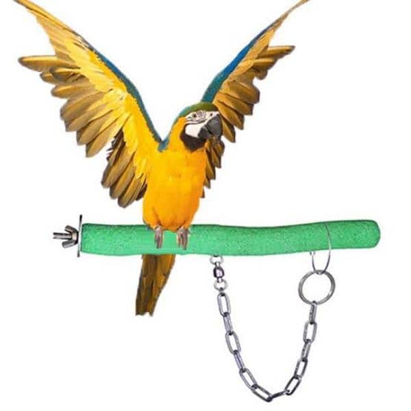 birds foot chain/bird training chain/parrot foot chain/bird carry chai 2