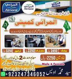 Jobs/ Full Time Job/ Company visa/ Staff Required/Saudi Jobs Available