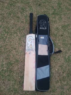 CA Gold DRAGON English willow bat For sale