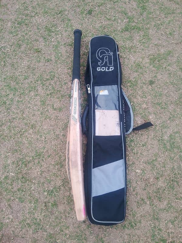 CA Gold DRAGON English willow bat For sale 4