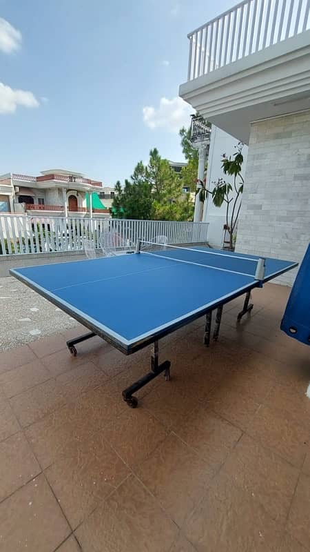 table tennis table 0