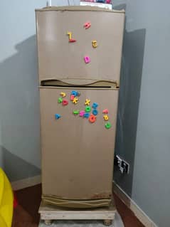 Fridge refrigerator