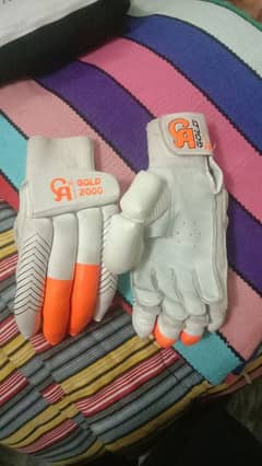 CA gloves and CA original bat