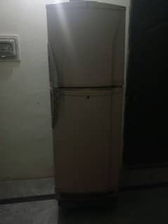 Fridge (pel)