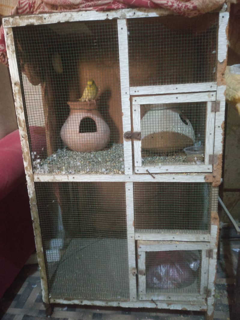 Urgent Sale parrot wooden cage. 0