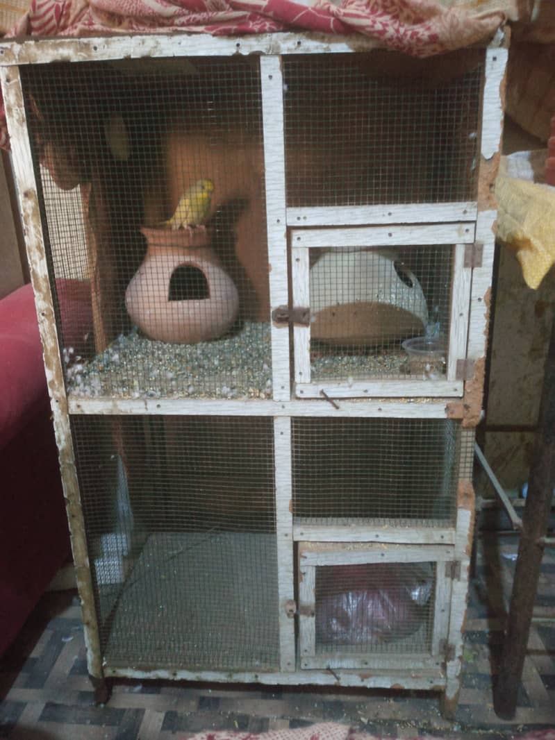 Urgent Sale parrot wooden cage. 1