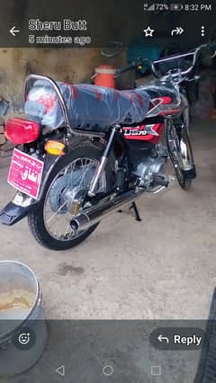 Union Star 70cc 2025