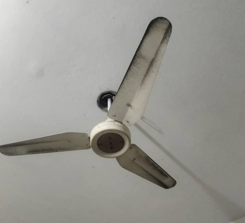 1 Ceiling fan for sale 0