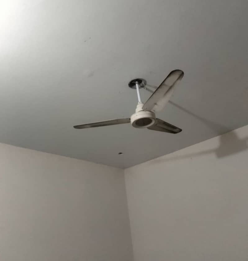 1 Ceiling fan for sale 2