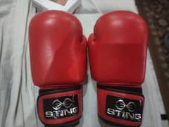 Sting Boxing Gloves