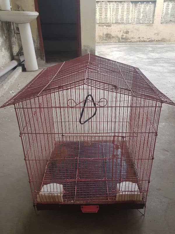 cage 3 good available 0