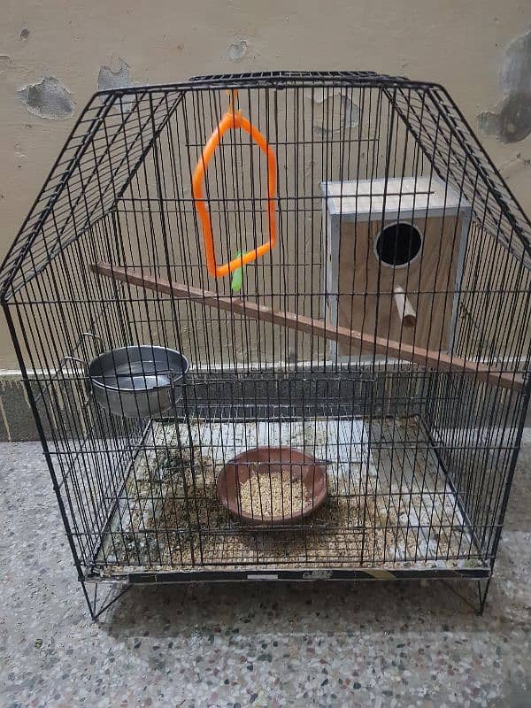 cage 3 good available 2