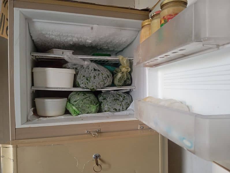 Fridge 3