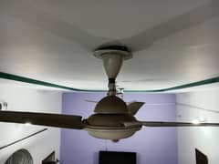 Climax Celling Fans