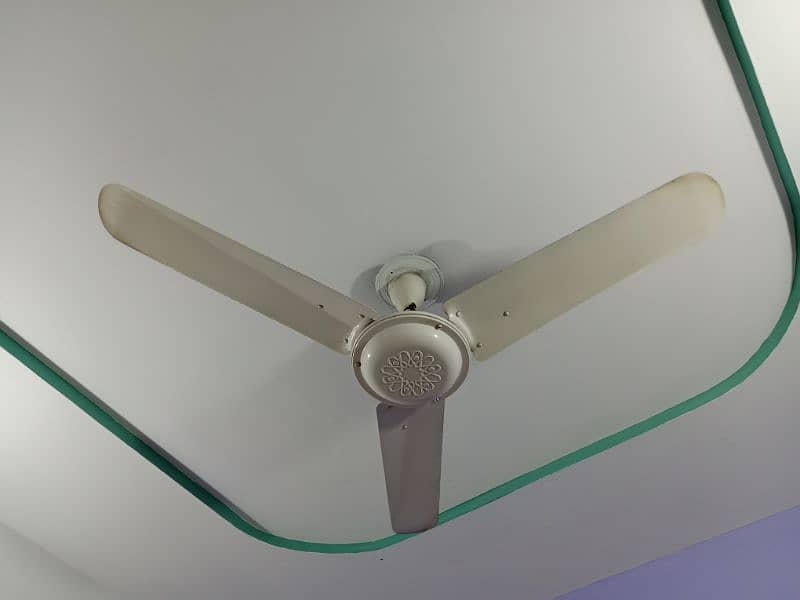 Climax Celling Fans 1