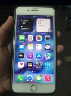 7 plus pta