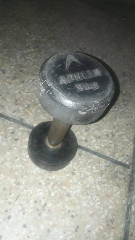 appolo 3 kg dumbbells 1