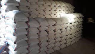 gypsum plaster of Paris 50kg bags for sale