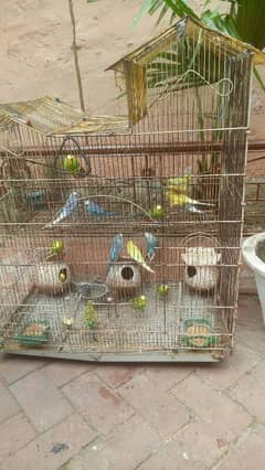 16 part and big cage for sale