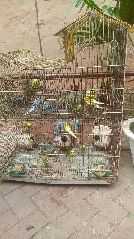 16 part and big cage for sale 0