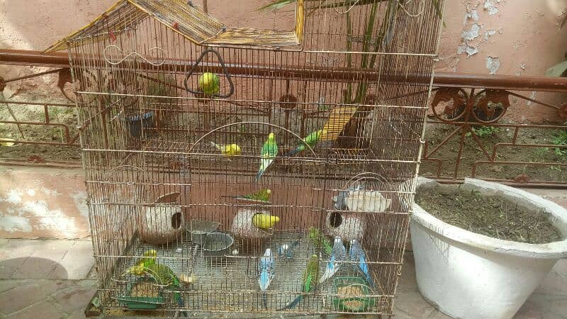 16 part and big cage for sale 2