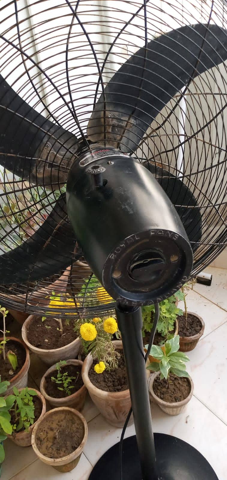 Pedestal Fan Black Good Condition 1