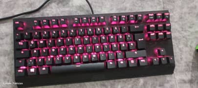 Razor blackwidow v3 tenkeyless german model