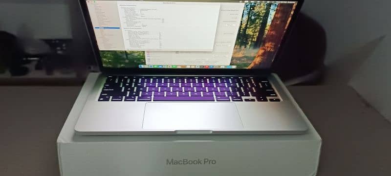 Apple MacBook Pro M2 2022 13.3" CTO 24Gb 1Tb only 12Cc Like New 6