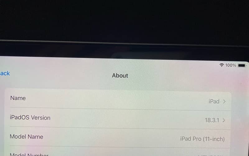 ipad pro 2018 11 inch 256gb 9