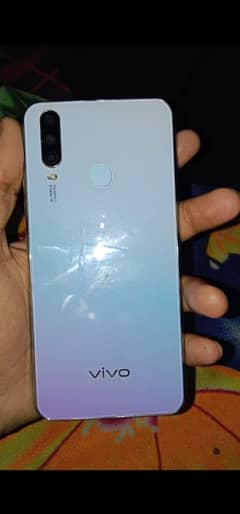 vivo