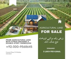 Agricultural Land (565 Kanal) with Citrus Orchard & Double-Story Farmhouse