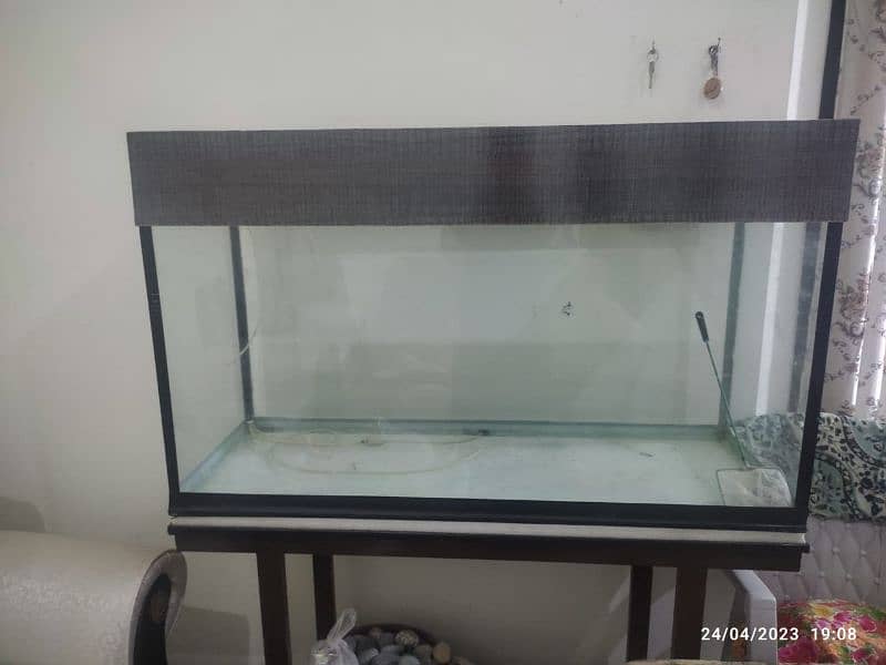 Fish Aquarium Big Size 1