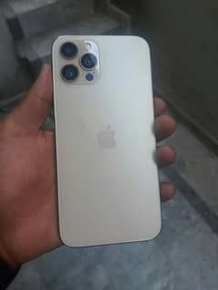 iphone 12 pro max pta approved